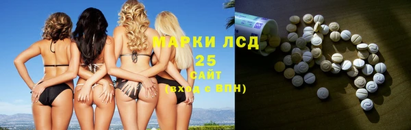 шишки Новоузенск