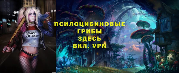 PSILOCYBIN Нефтегорск