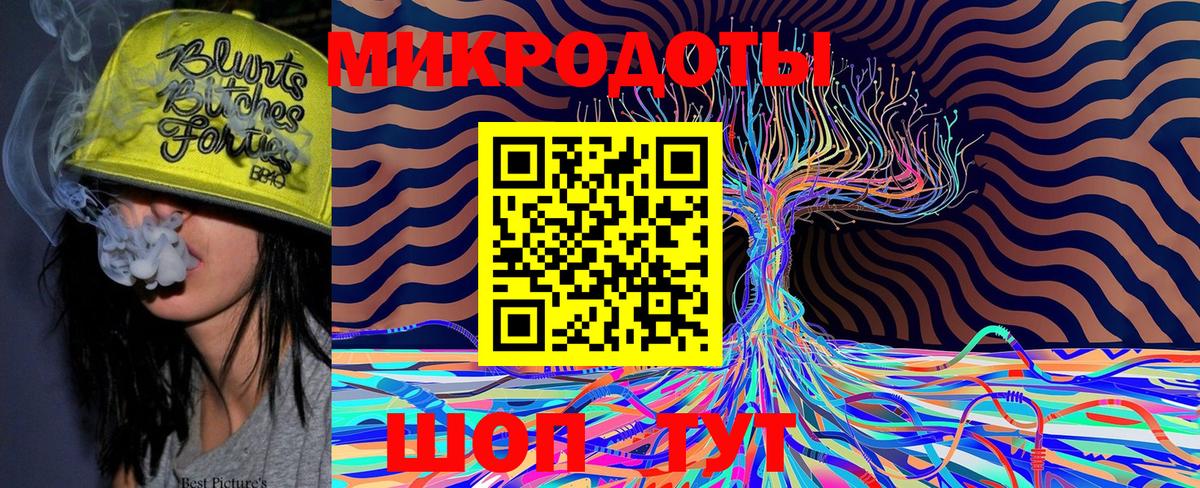 Галлюциногенные грибы Psilocybe  Асино 