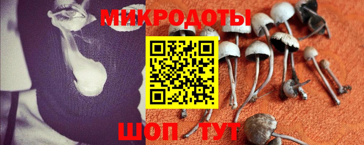 Псилоцибиновые грибы Cubensis  Вход с VPN  продажа наркотиков  Асино 
