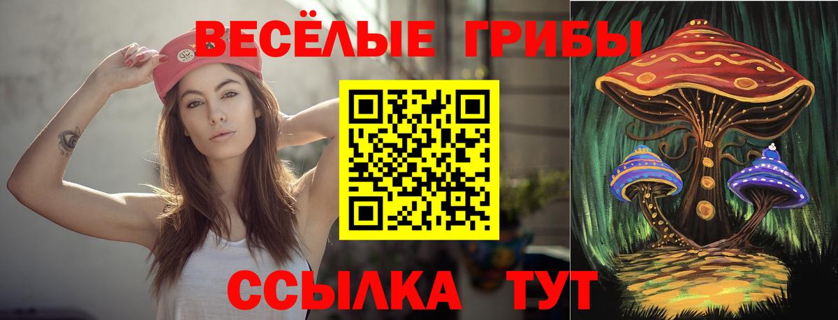 Галлюциногенные грибы мицелий Асино