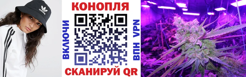 Канабис THC 21%  Асино 